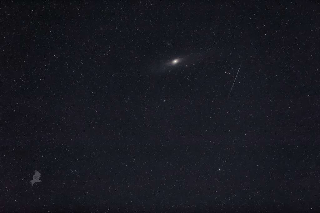 アンドロメダ銀河(流れ星通過)