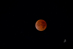 皆既月食2025年9月8日(食の最大頃)