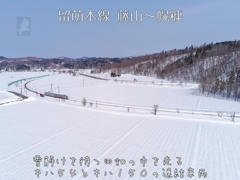 記憶(４９)
