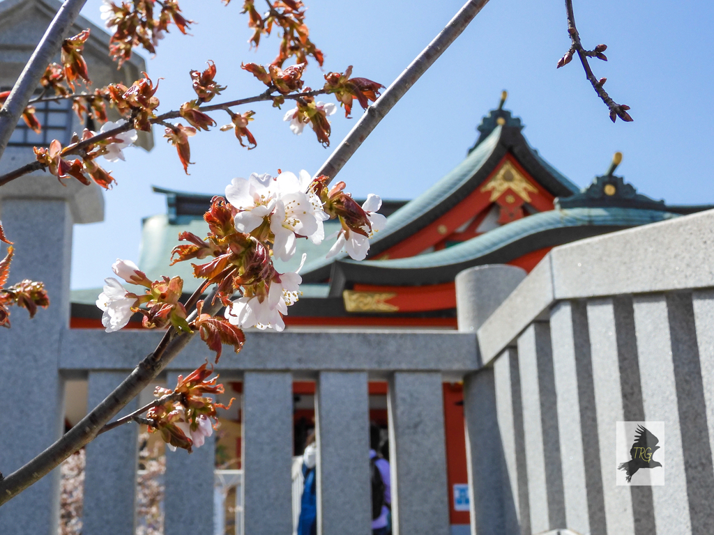 樽前山神社(３)