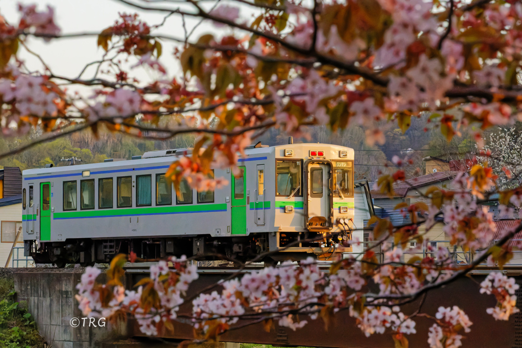 桜の窓から見る夕景