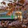桜の窓から見る夕景