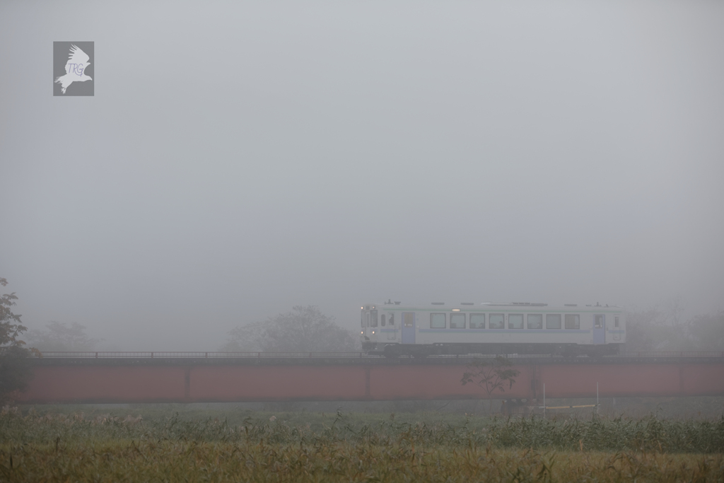 朝霧の中を行く(上り一番列車)