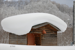 雪の帽子