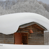 雪の帽子