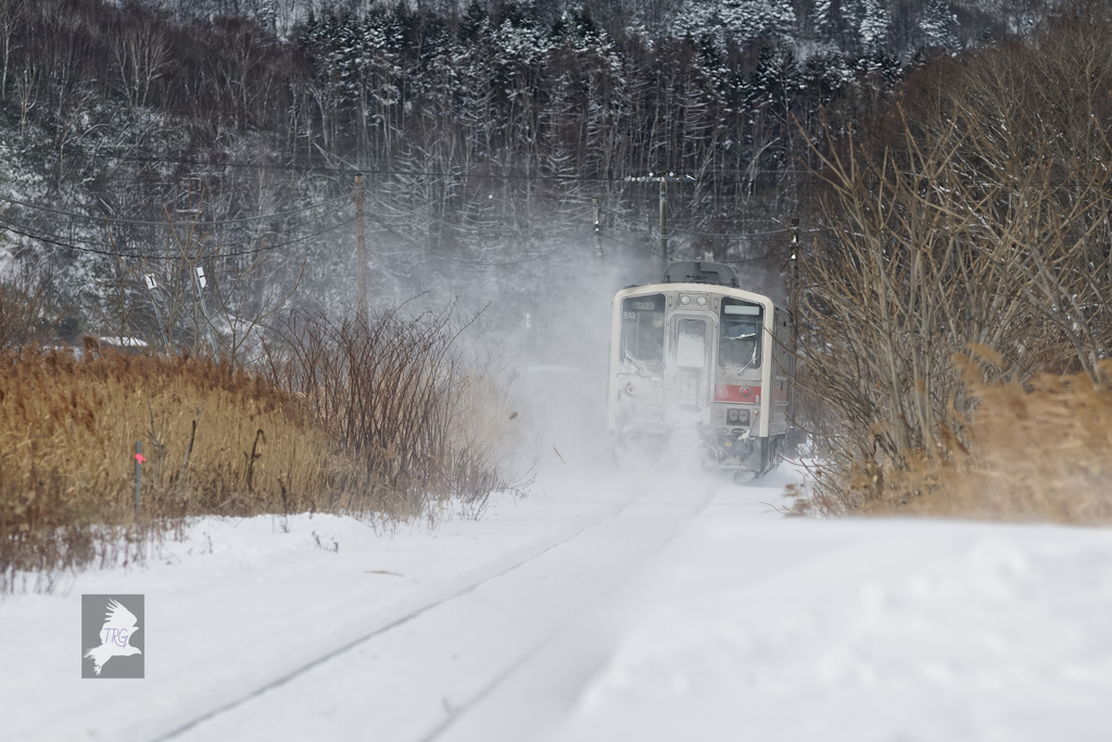 最後の冬(雪煙を上げながら)