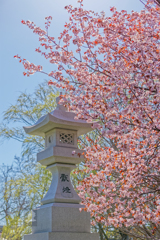 春の輝き(留萌神社 灯籠)