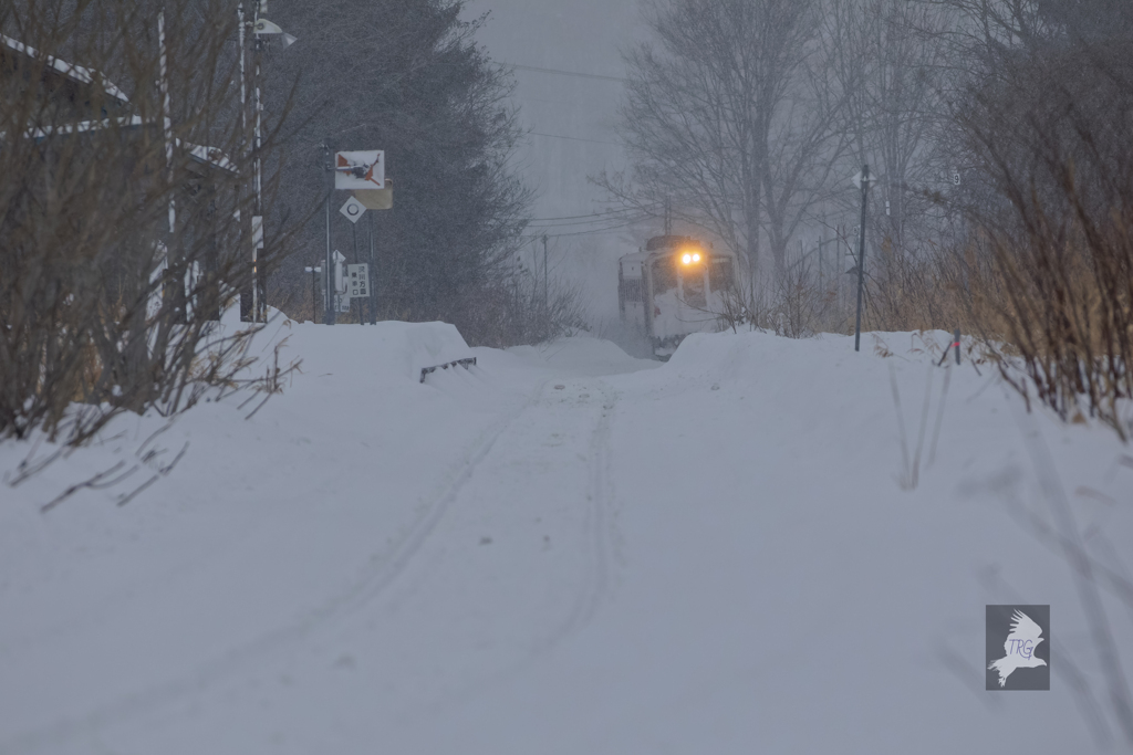 小雪舞う中を