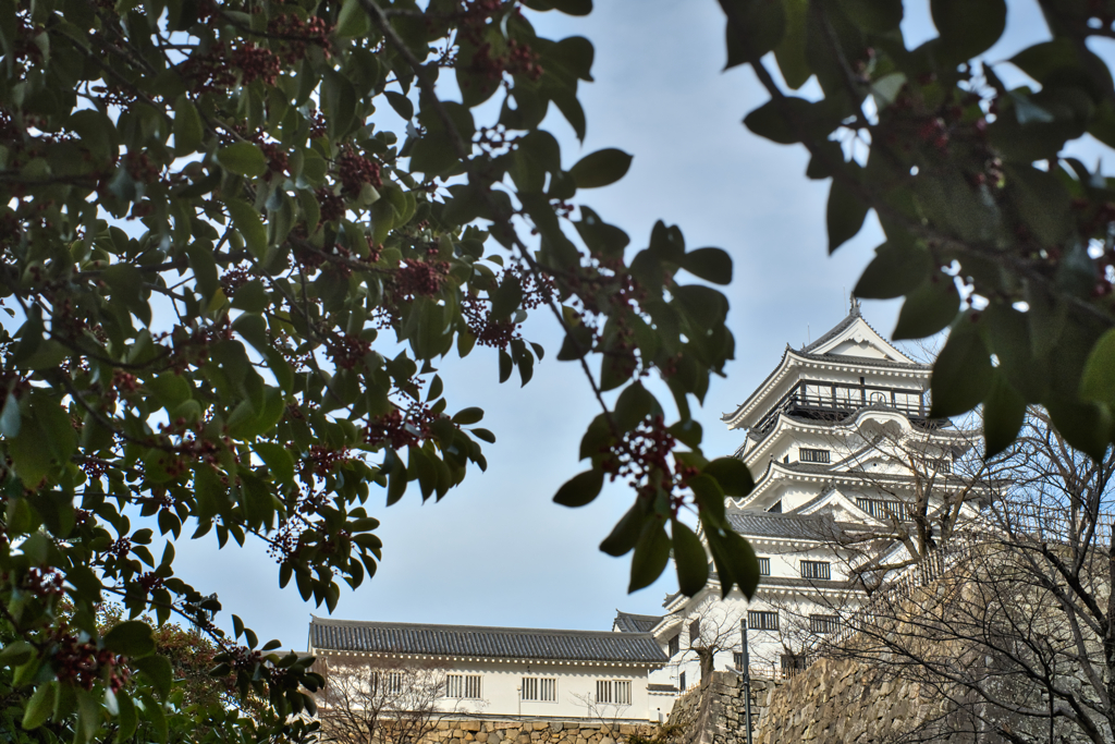 冬の福山城
