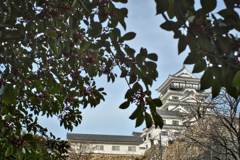 冬の福山城