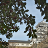 冬の福山城