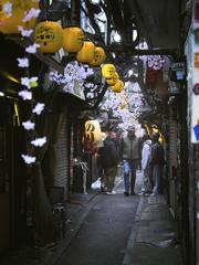 春の小路地