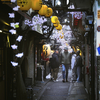 春の小路地