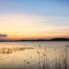 手賀沼夕暮れ