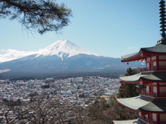 新倉山浅間公園 20200201