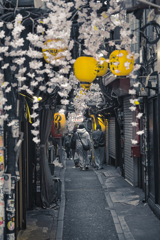 春の小路地