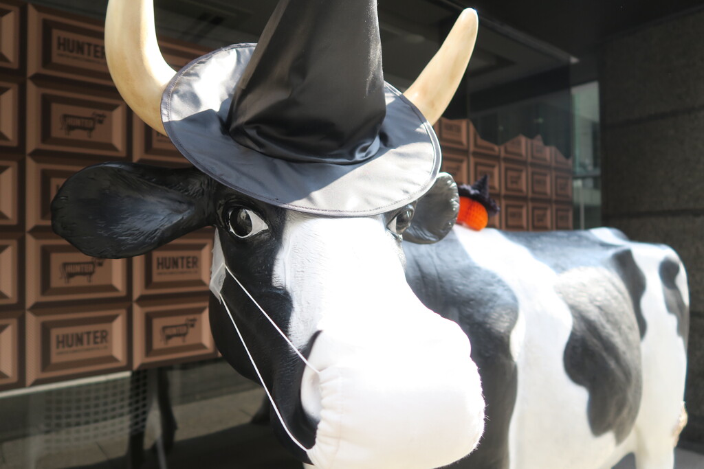 Cow with a mask