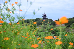 曇るのかい（涙）
