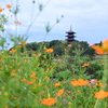 曇るのかい（涙）