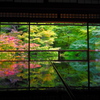 20191104_瑠璃光院(1)