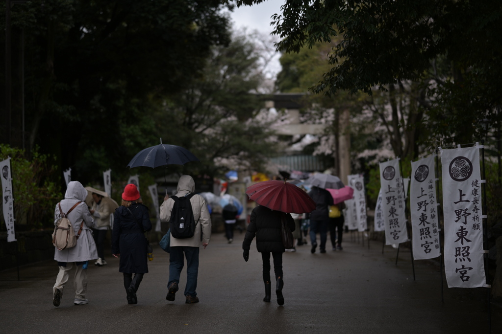雨中