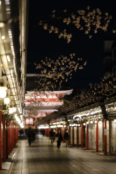 浅草参道