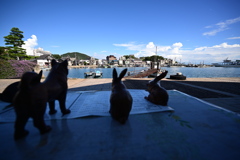 望海