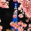 DSCF1182