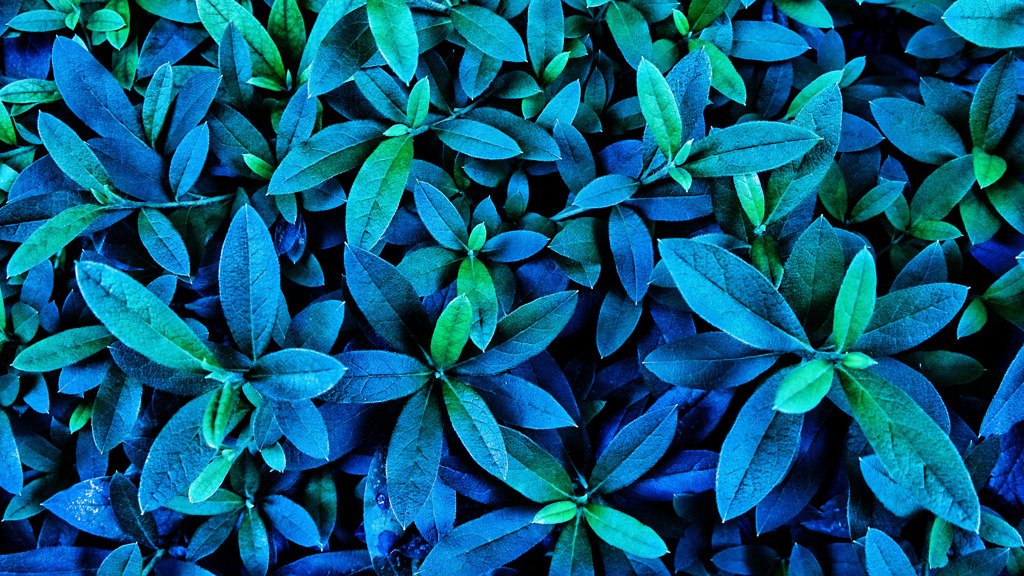 Blue ＆ Green