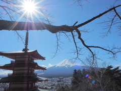 新倉山浅間公園 20200201