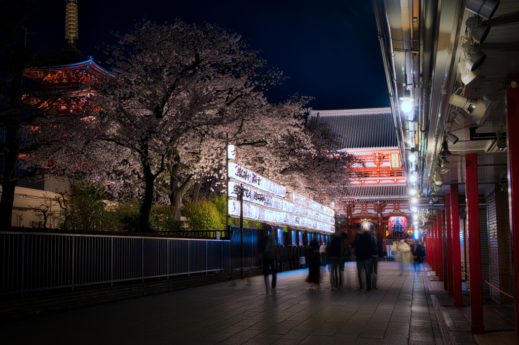 浅草寺前夜桜