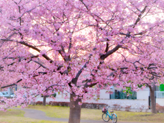 穏やかな時間