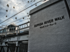 Sumida River Walk