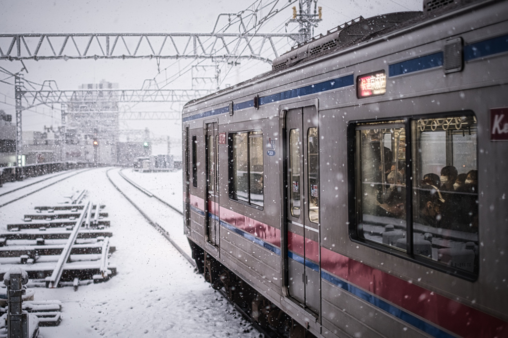 雪中も悠然と駆ける