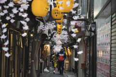 春の小路地