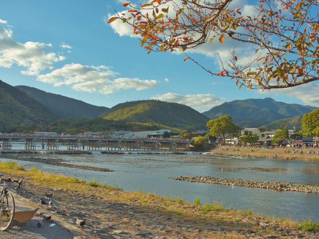 20191104_嵐山(2)
