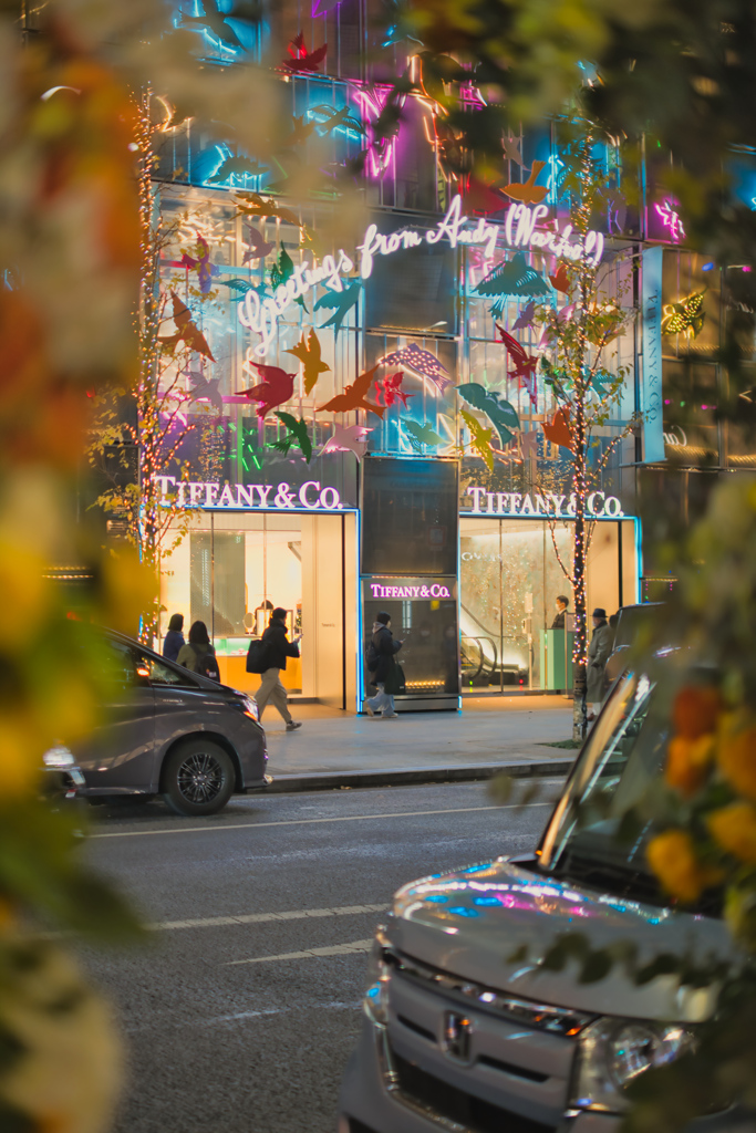 xmas litghting ginza street(tiffany)