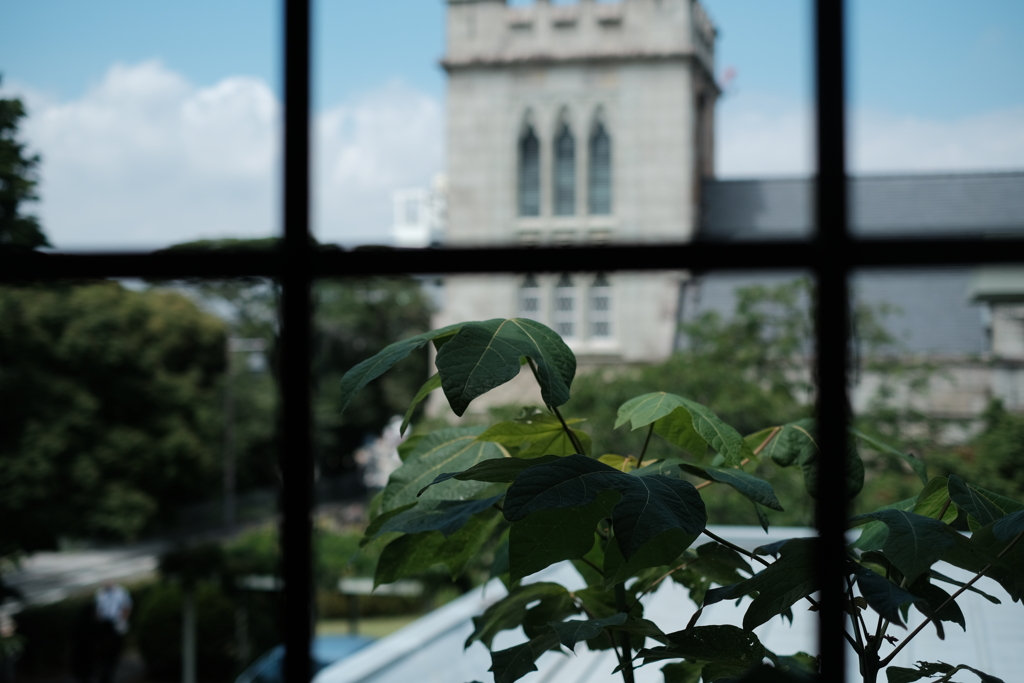 夏空