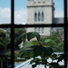 夏空