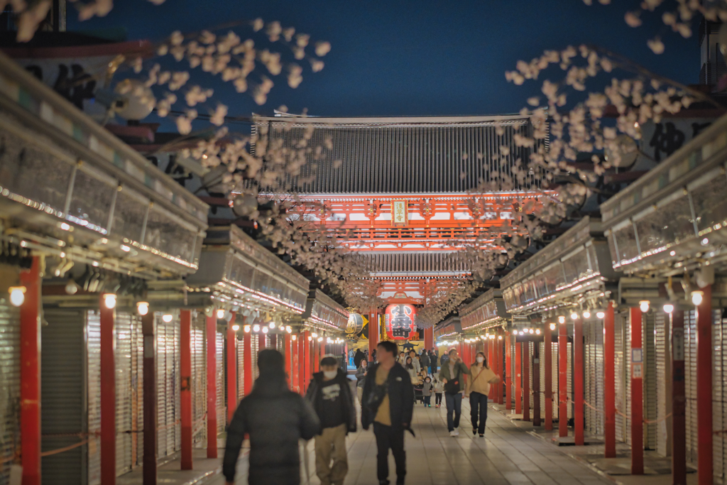 早春 夜の仲見世通り