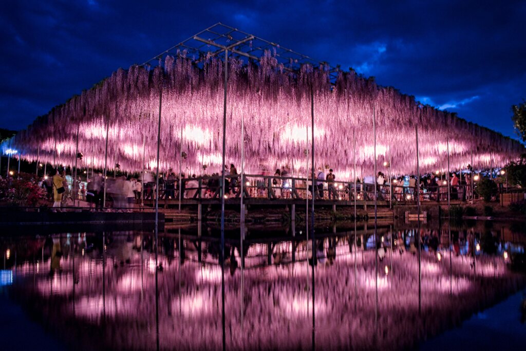 藤夜景