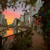 夕日に華