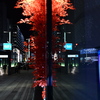銀座で紅葉リフレクション