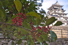 冬の福山城をバックに