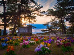 富津公園