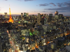 東京タワー　20200109_53