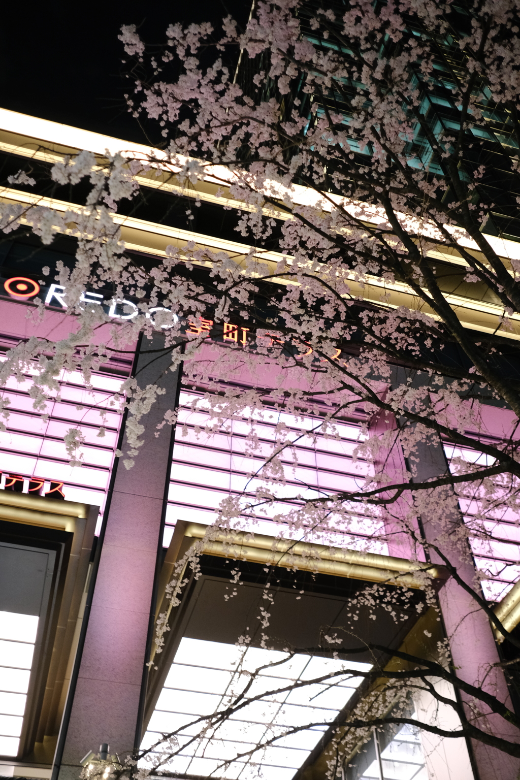桜色