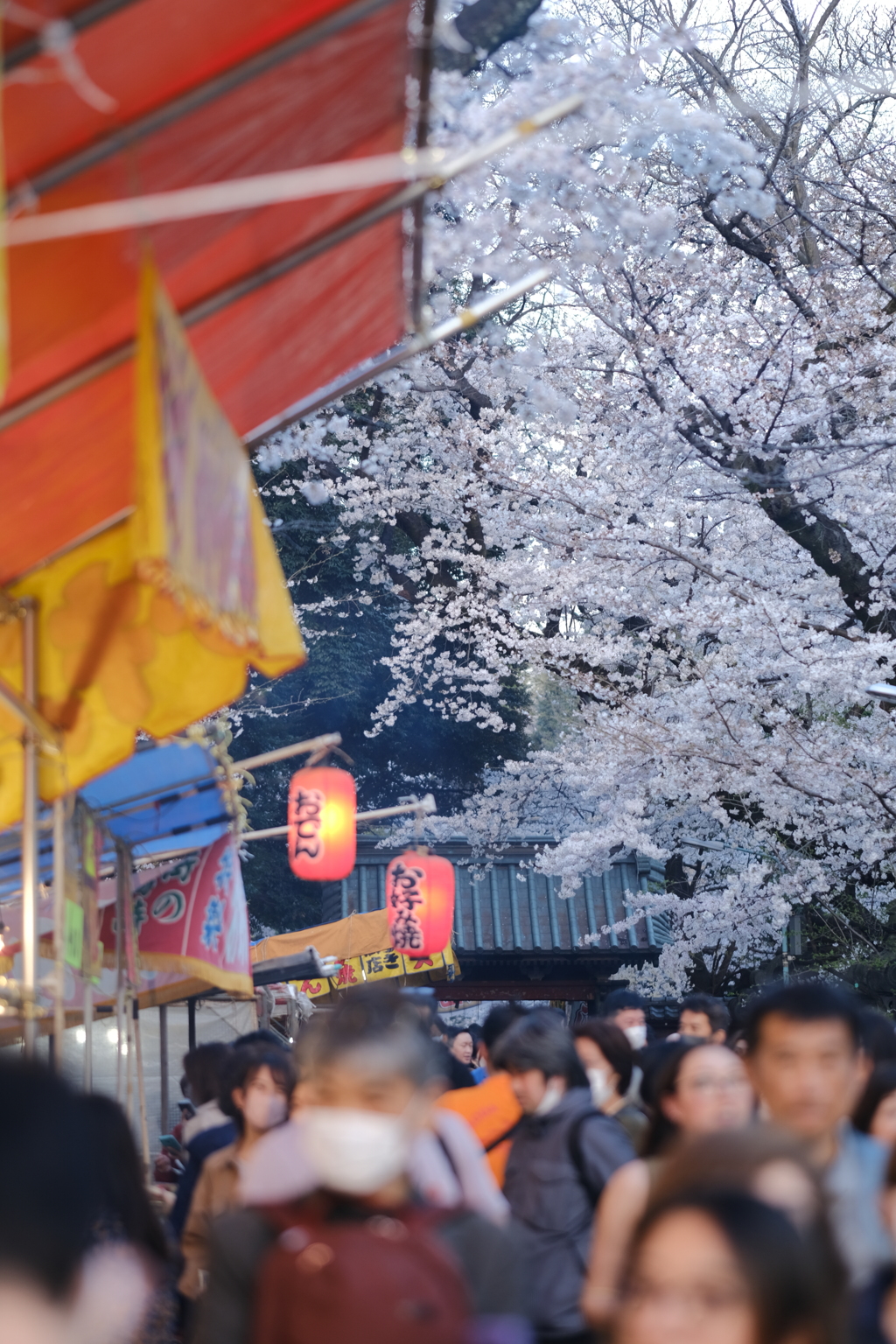 花と華