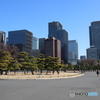 皇居敷地内から