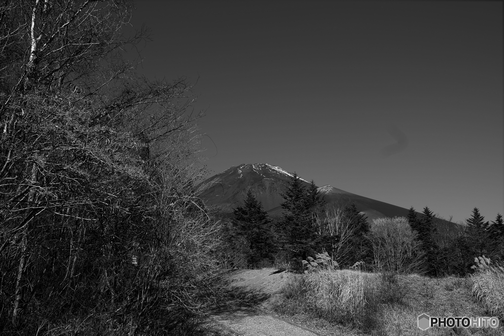 クロカンコースからのMt Fuji